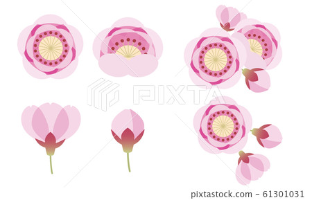 桃花,桃花,花,娃娃節 桃花,桃花,花,娃娃節 61301031