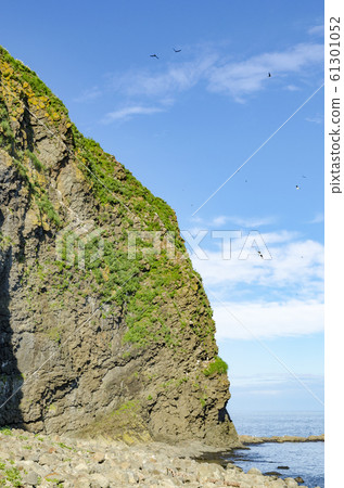 見北海道知床Oronko岩 61301052