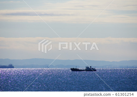 海 海 61301254