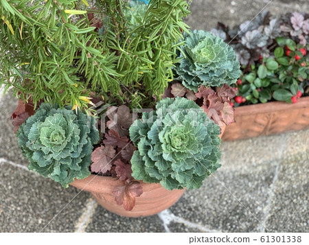 Group planting Group planting 61301338