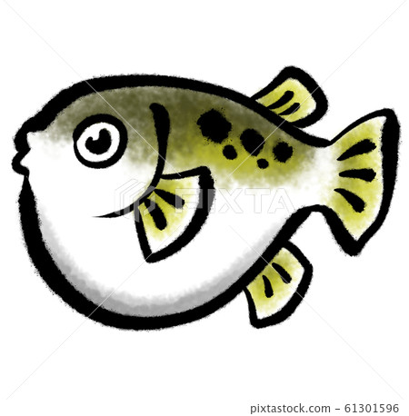Ink painting style blowfish illustration (color) 61301596
