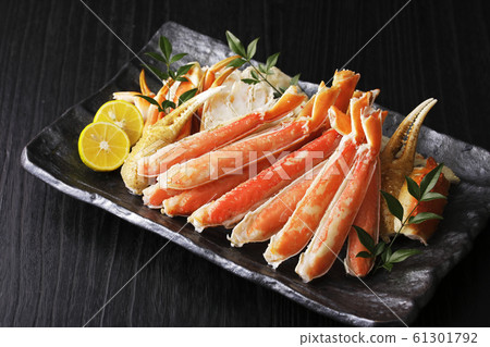Snow crab 61301792