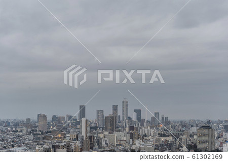 從東京文京區後樂園看到的陰天的東京景色 61302169