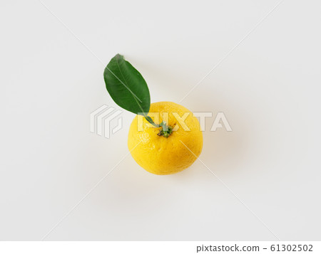 香櫞 61302502