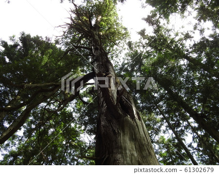 local site, location for making a movie, yoshino 61302679