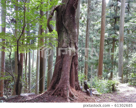 當地位置 製作電影的位置 吉野 61302685