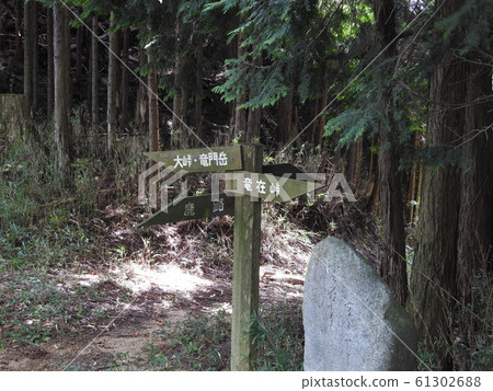 local site, location for making a movie, yoshino 61302688