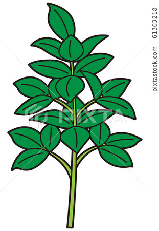 ki見Shi ki見Shi 61303218