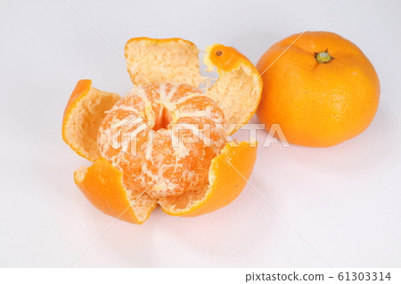 Nankan mandarin orange 61303314