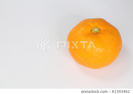 Nankan mandarin orange Nankan mandarin orange 61303462