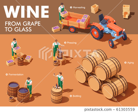 Vector isometric wine making process 61303559