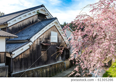 櫻滿海奈良大田 61305266