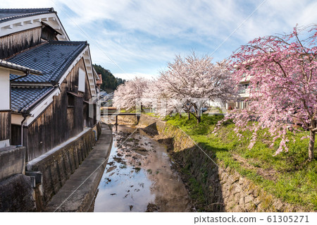 櫻滿海奈良大田 61305271