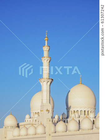 Sheikh Zayed Mosque in Abu Dhabi 61307242