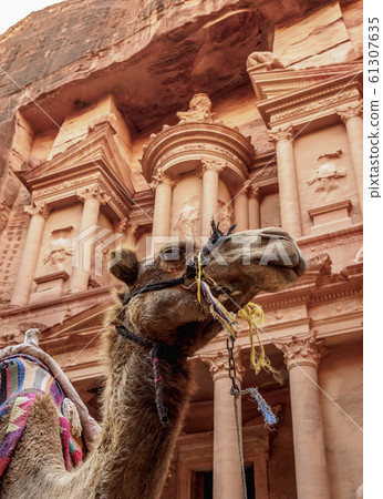 The Treasury in Petra, Jordan 61307635