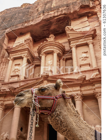 The Treasury in Petra, Jordan The Treasury in Petra, Jordan 61307636