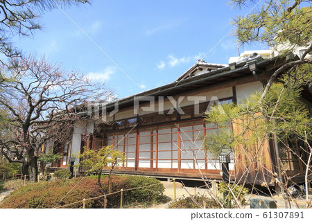 uka島Hy花花論 uka島Hy花花論 61307891