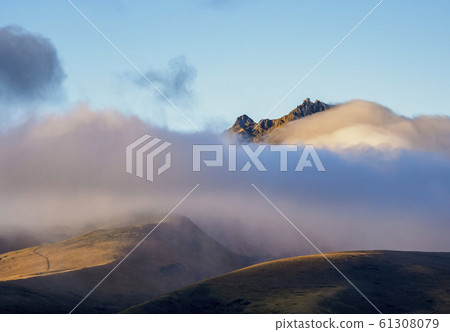 Cotopaxi National Park in Ecuador 61308079