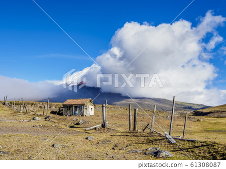 Cotopaxi Volcano in Ecuador 61308087