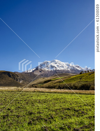 Chimborazo Volcano in Ecuador Chimborazo Volcano in Ecuador 61308089