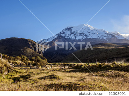 Chimborazo Volcano in Ecuador Chimborazo Volcano in Ecuador 61308091