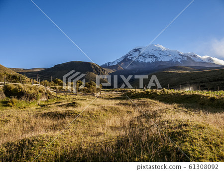 Chimborazo Volcano in Ecuador Chimborazo Volcano in Ecuador 61308092