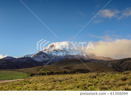 Chimborazo Volcano in Ecuador Chimborazo Volcano in Ecuador 61308094