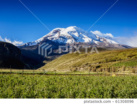 Chimborazo Volcano in Ecuador Chimborazo Volcano in Ecuador 61308096