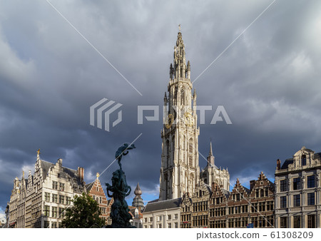 Grote Markt and Cathedral Tower in Antwerp 61308209