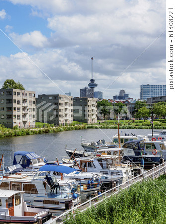 Delfshaven in Rotterdam 61308221