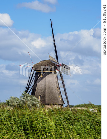 Windmills in Kinderdijk, The Netherlands 61308241