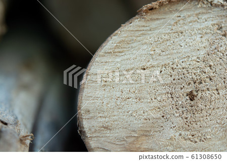 Wooden logs stack, tree stumps background Wooden logs stack, tree stumps background 61308650