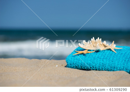 Summer vacation concept Summer vacation concept 61309290