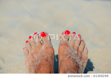 Summer vacation concept Summer vacation concept 61309299