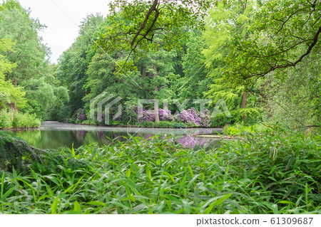 Walk through the Tiergarten park 61309687