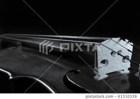 Prominent Violin Bridge Art Prominent Violin Bridge Art 61310339