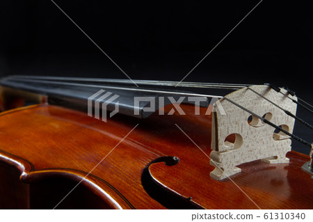 Violin bridge close-up Violin bridge close-up 61310340