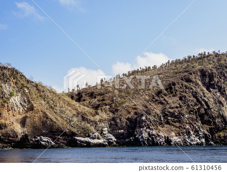 Santa Fe Island at Galapagos, Ecuador Santa Fe Island at Galapagos, Ecuador 61310456