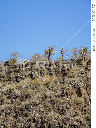 Santa Fe Island at Galapagos, Ecuador 61310457