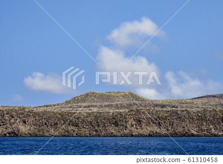 Santa Fe Island at Galapagos, Ecuador Santa Fe Island at Galapagos, Ecuador 61310458