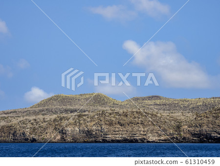 Santa Fe Island at Galapagos, Ecuador Santa Fe Island at Galapagos, Ecuador 61310459