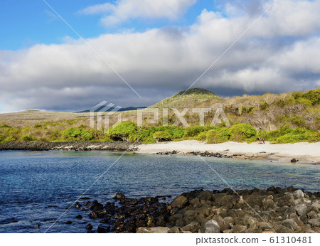 Baquerizo Beach at San Cristobal Island in 61310481