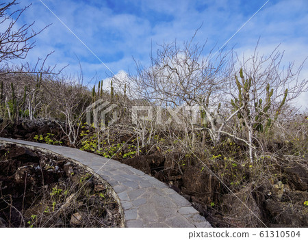 Cerro Tijeretas at San Cristobal Island in 61310504