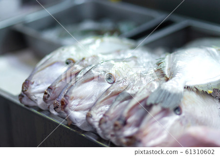 Asian street food. Fresh fish in a row Asian street food. Fresh fish in a row 61310602