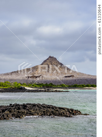 Dragon Hill at Santa Cruz Island, Galapagos, Dragon Hill at Santa Cruz Island, Galapagos, 61310644