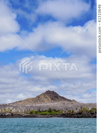 Dragon Hill at Santa Cruz Island, Galapagos, Dragon Hill at Santa Cruz Island, Galapagos, 61310646