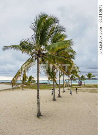 Puerto Villamil at Isabela Island, Galapagos, 61310673