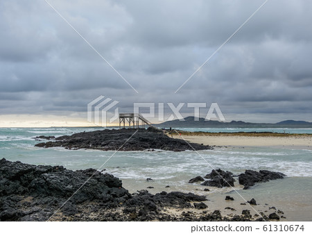 Puerto Villamil at Isabela Island, Galapagos, 61310674