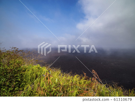 Sierra Negra Volcano at Isabela Island, Galapagos, 61310679