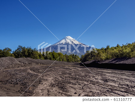 Osorno Volcano in Chile 61310777